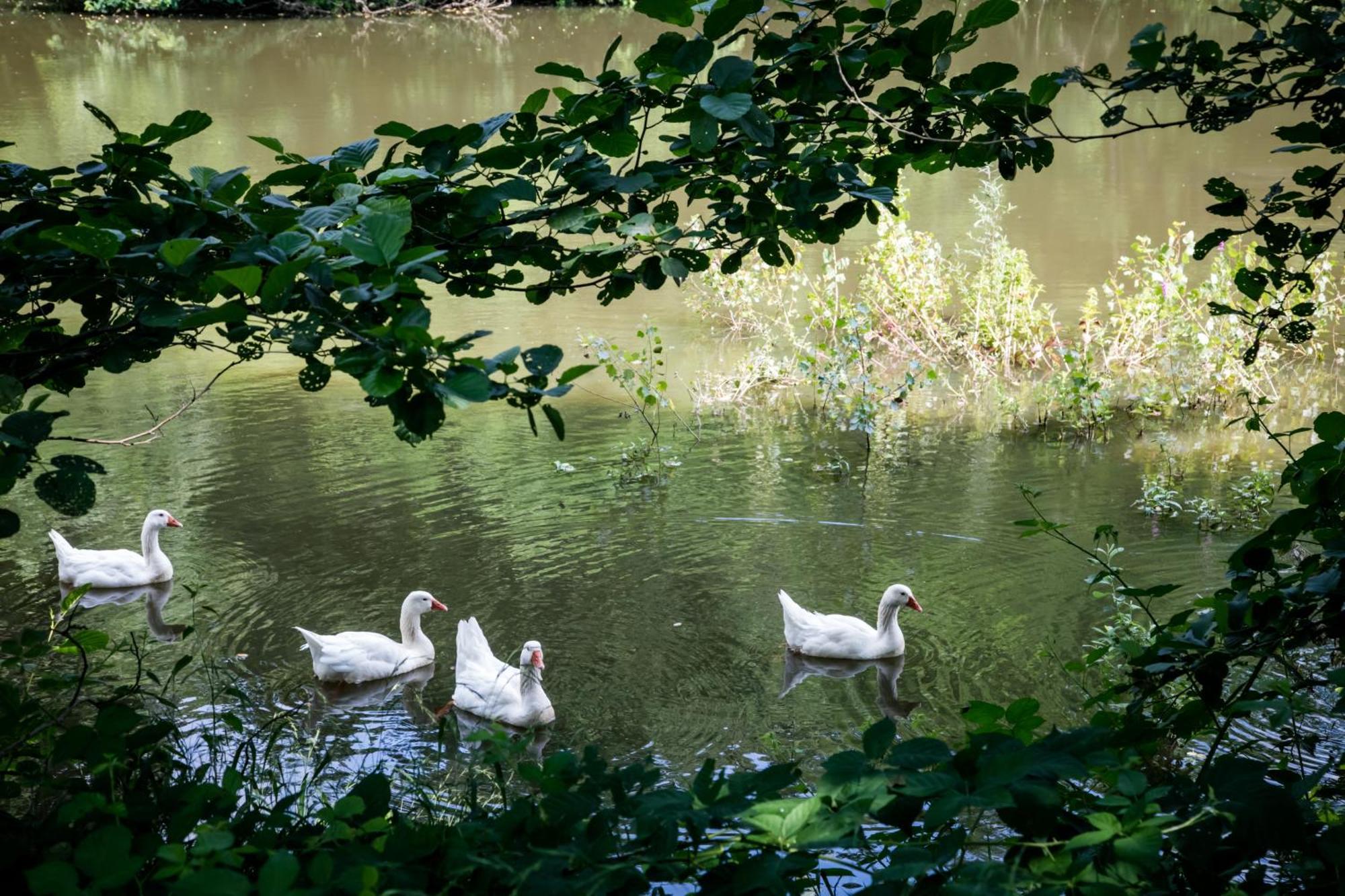 Lombardore Agriturismo Parco Campofelice מראה חיצוני תמונה