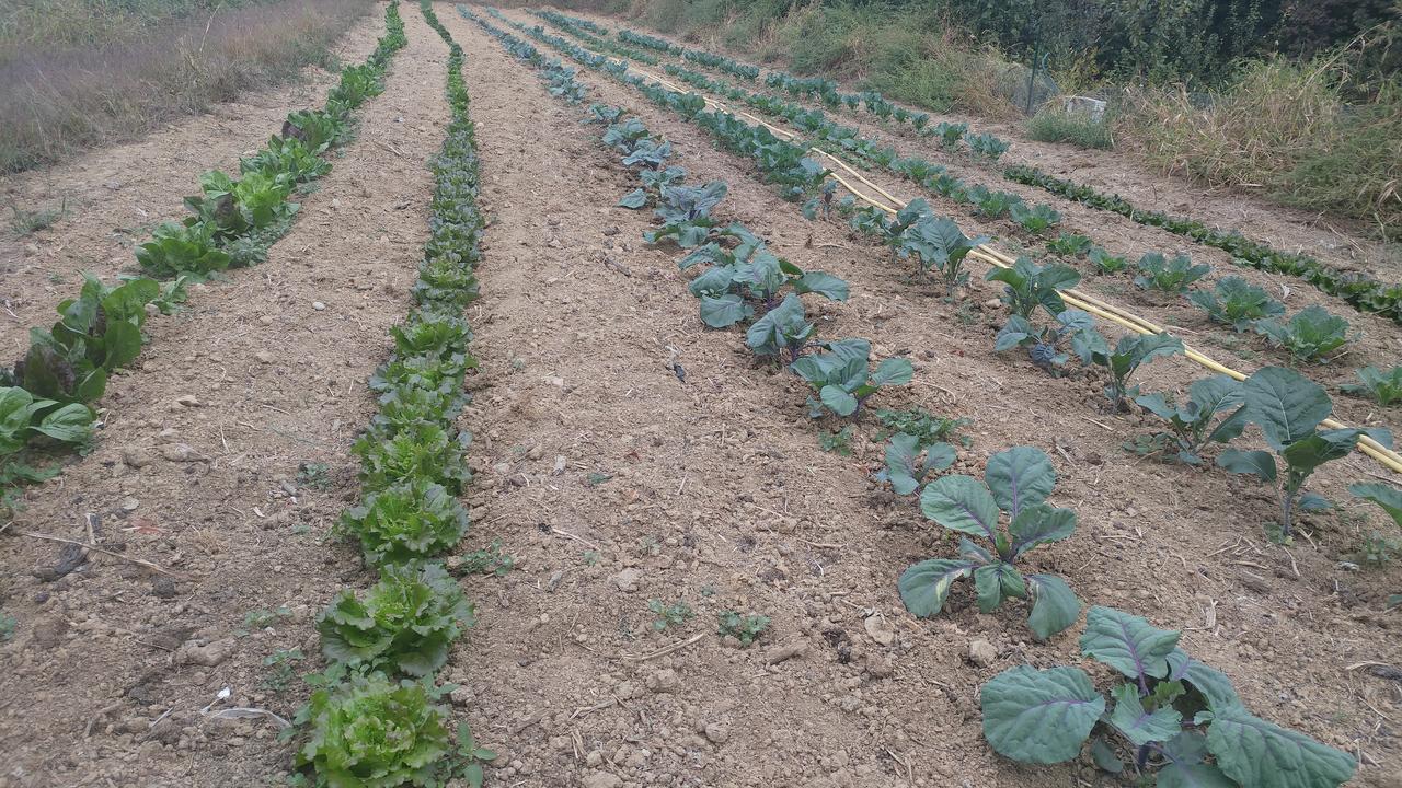 Lombardore Agriturismo Parco Campofelice מראה חיצוני תמונה